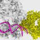 Illustration for article titled Report: DNA Markers Accurately Predict Male Homosexuality, At Least in This Small Study